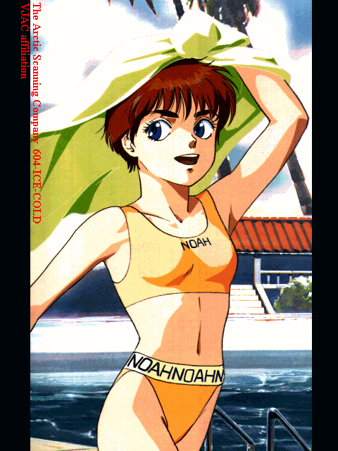 Patlabor - Serie