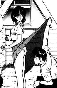 Shin Angel