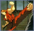 Street Fighter II