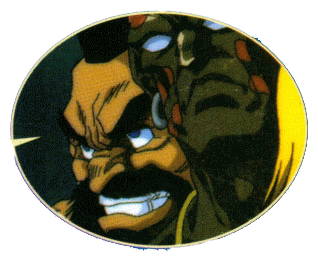 Street Fighter II V