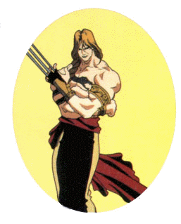 Street Fighter II V