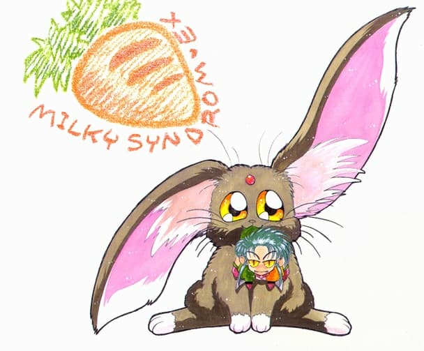 Tenchi Muyo